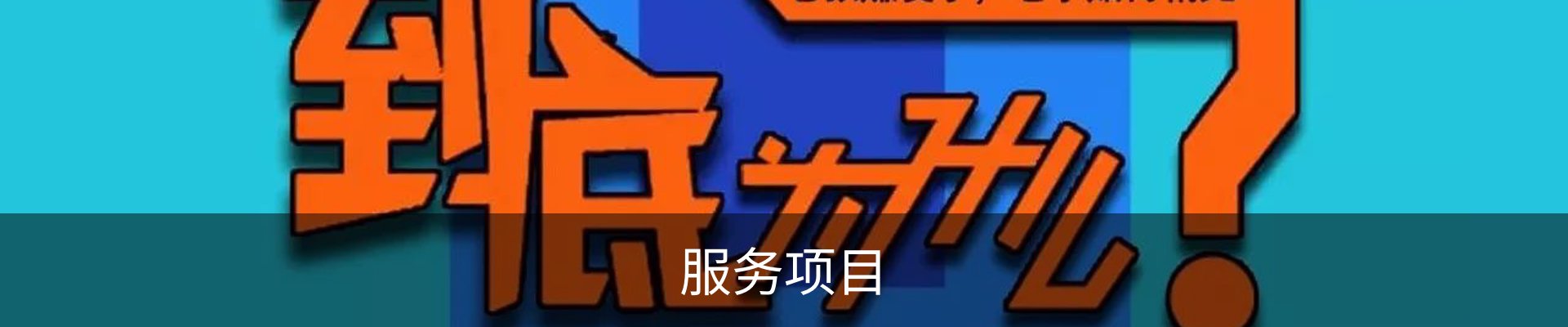 服务项目